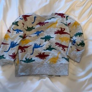 Dino sweatshirt
